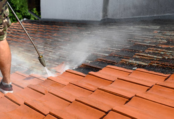 Best Exterior Home Cleaning  in Gonzales, LA