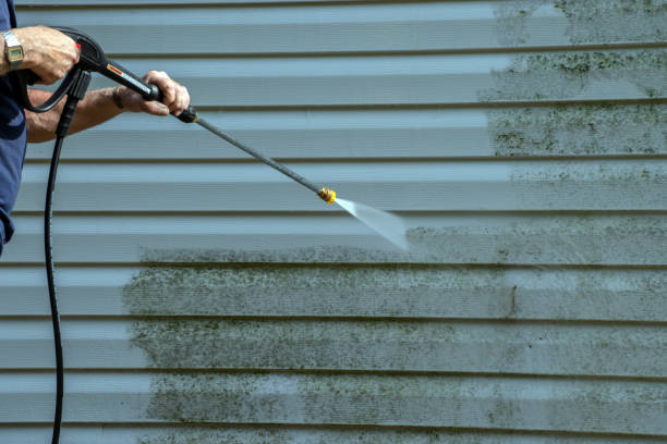 Best Deck Cleaning Services  in Gonzales, LA