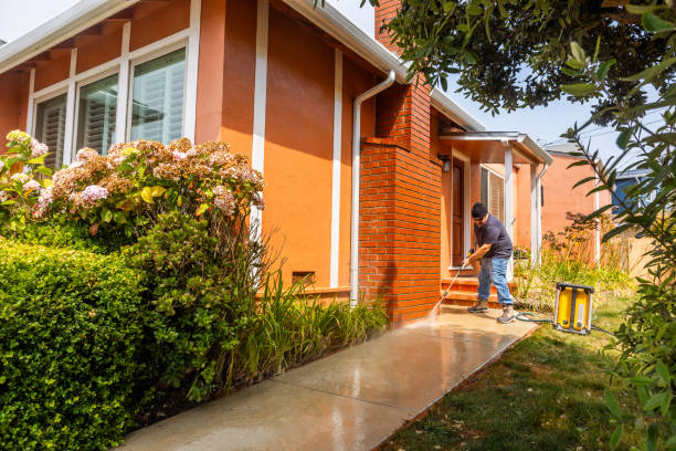 Best Affordable Pressure Washing  in Gonzales, LA