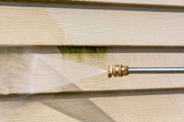 Best Roof Power Washing Services  in Gonzales, LA