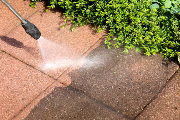 Best Power Washing Near Me  in Gonzales, LA